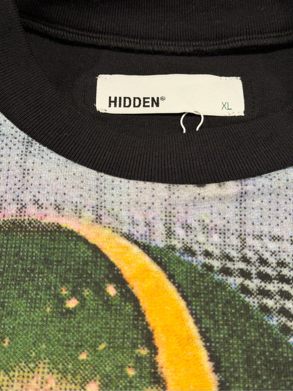 Hidden Multi Indy Photo L/S Tee